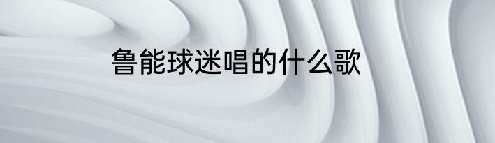 鲁能球迷唱的什么歌
