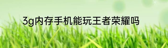3g内存手机能玩王者荣耀吗