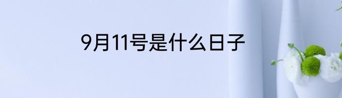 9月11号是什么日子