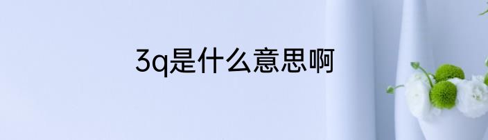 3q是什么意思啊