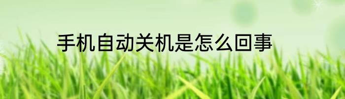 手机自动关机是怎么回事