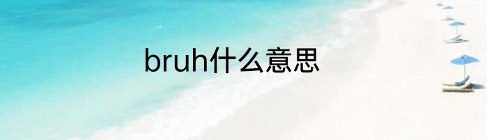 bruh什么意思
