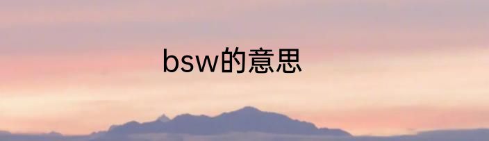 bsw的意思