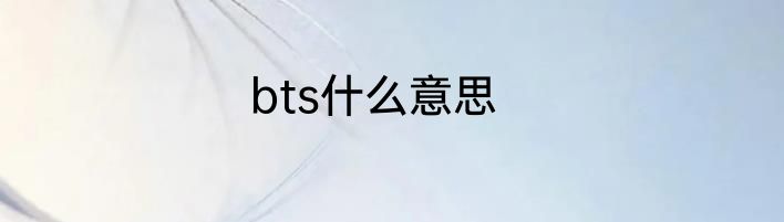 bts什么意思
