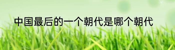中国最后的一个朝代是哪个朝代