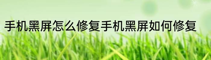 手机黑屏怎么修复手机黑屏如何修复