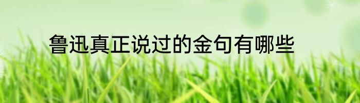 鲁迅真正说过的金句有哪些