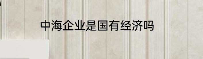 中海企业是国有经济吗