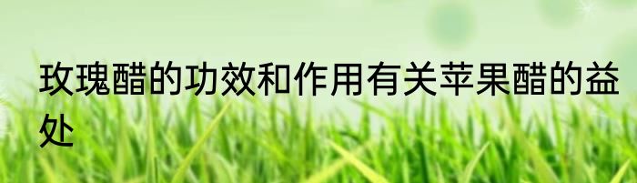 玫瑰醋的功效和作用有关苹果醋的益处