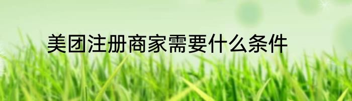 美团注册商家需要什么条件