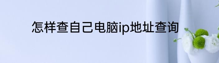 怎样查自己电脑ip地址查询