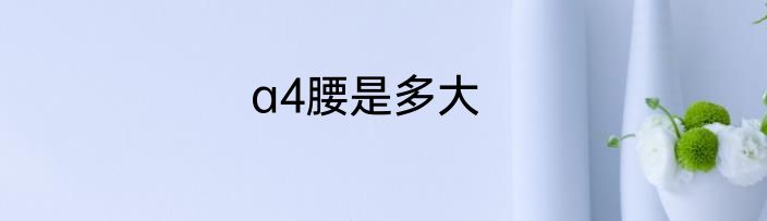 a4腰是多大