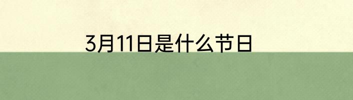 3月11日是什么节日
