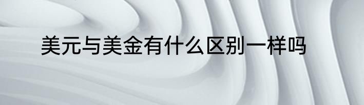 美元与美金有什么区别一样吗