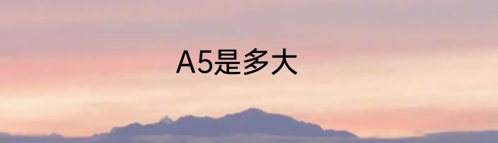 A5是多大