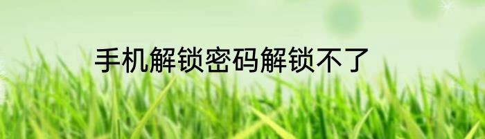 手机解锁密码解锁不了