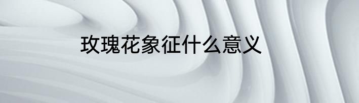 玫瑰花象征什么意义