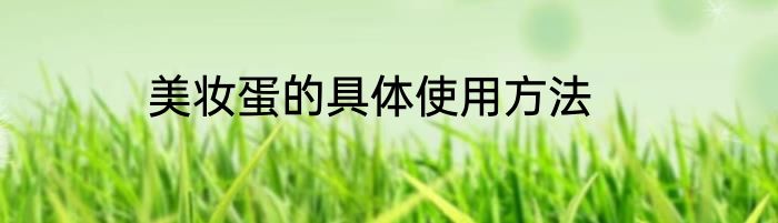 美妆蛋的具体使用方法