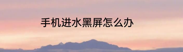 手机进水黑屏怎么办