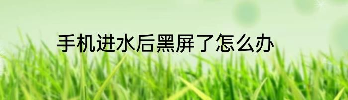 手机进水后黑屏了怎么办
