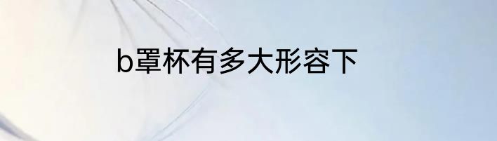 b罩杯有多大形容下