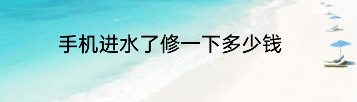 手机进水了修一下多少钱