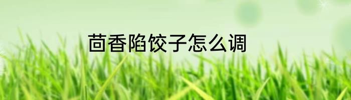 茴香陷饺子怎么调