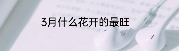 3月什么花开的最旺