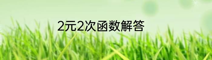 2元2次函数解答