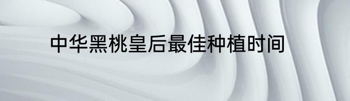 中华黑桃皇后最佳种植时间