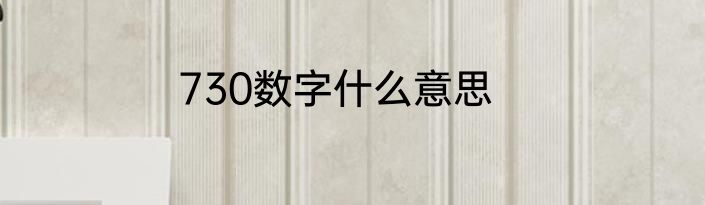 730数字什么意思