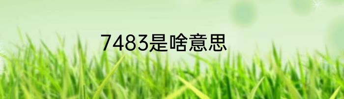 7483是啥意思