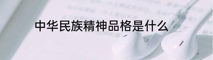 中华民族精神品格是什么