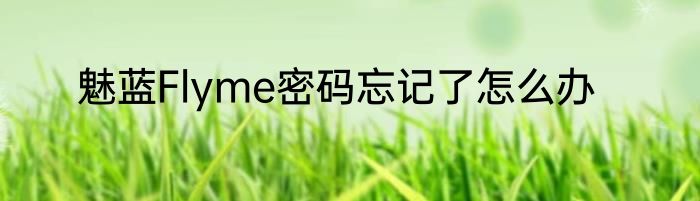魅蓝Flyme密码忘记了怎么办