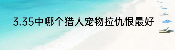 3.35中哪个猎人宠物拉仇恨最好