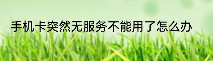 手机卡突然无服务不能用了怎么办