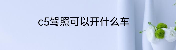 c5驾照可以开什么车