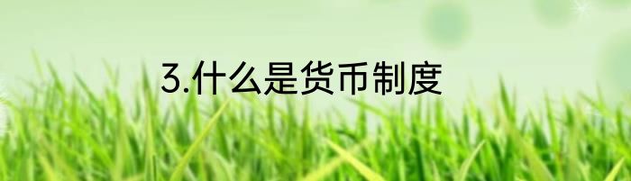 3.什么是货币制度