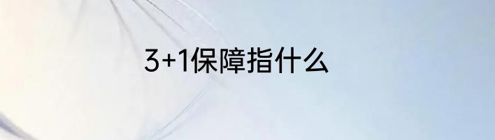 3+1保障指什么