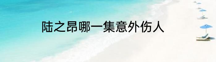 陆之昂哪一集意外伤人