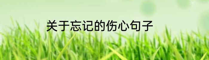 关于忘记的伤心句子