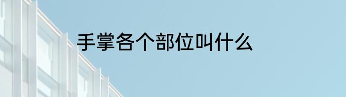 手掌各个部位叫什么