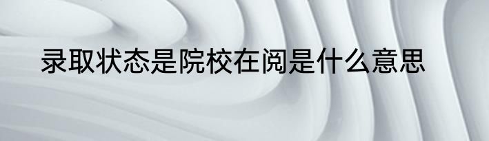 录取状态是院校在阅是什么意思