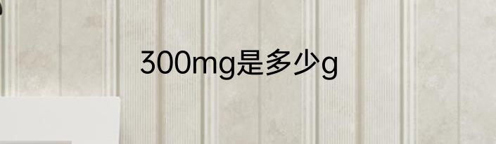 300mg是多少g