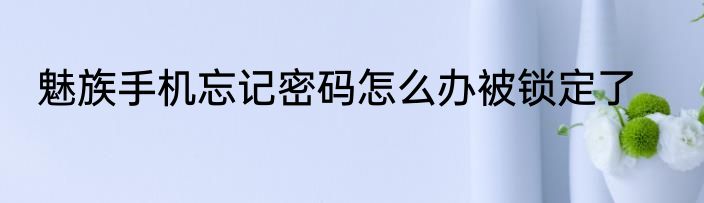 魅族手机忘记密码怎么办被锁定了