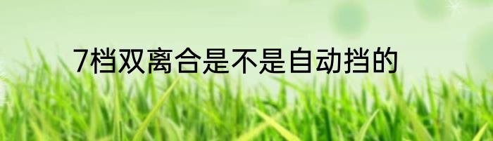 7档双离合是不是自动挡的