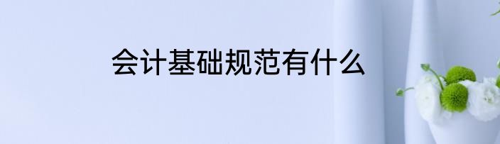 会计基础规范有什么