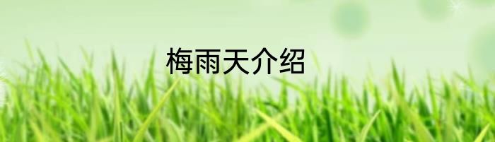 梅雨天介绍