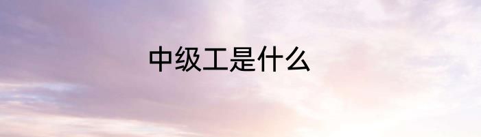 中级工是什么
