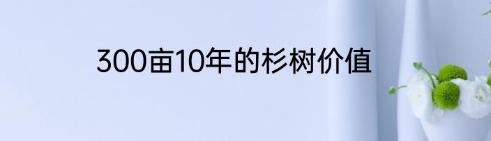 300亩10年的杉树价值
